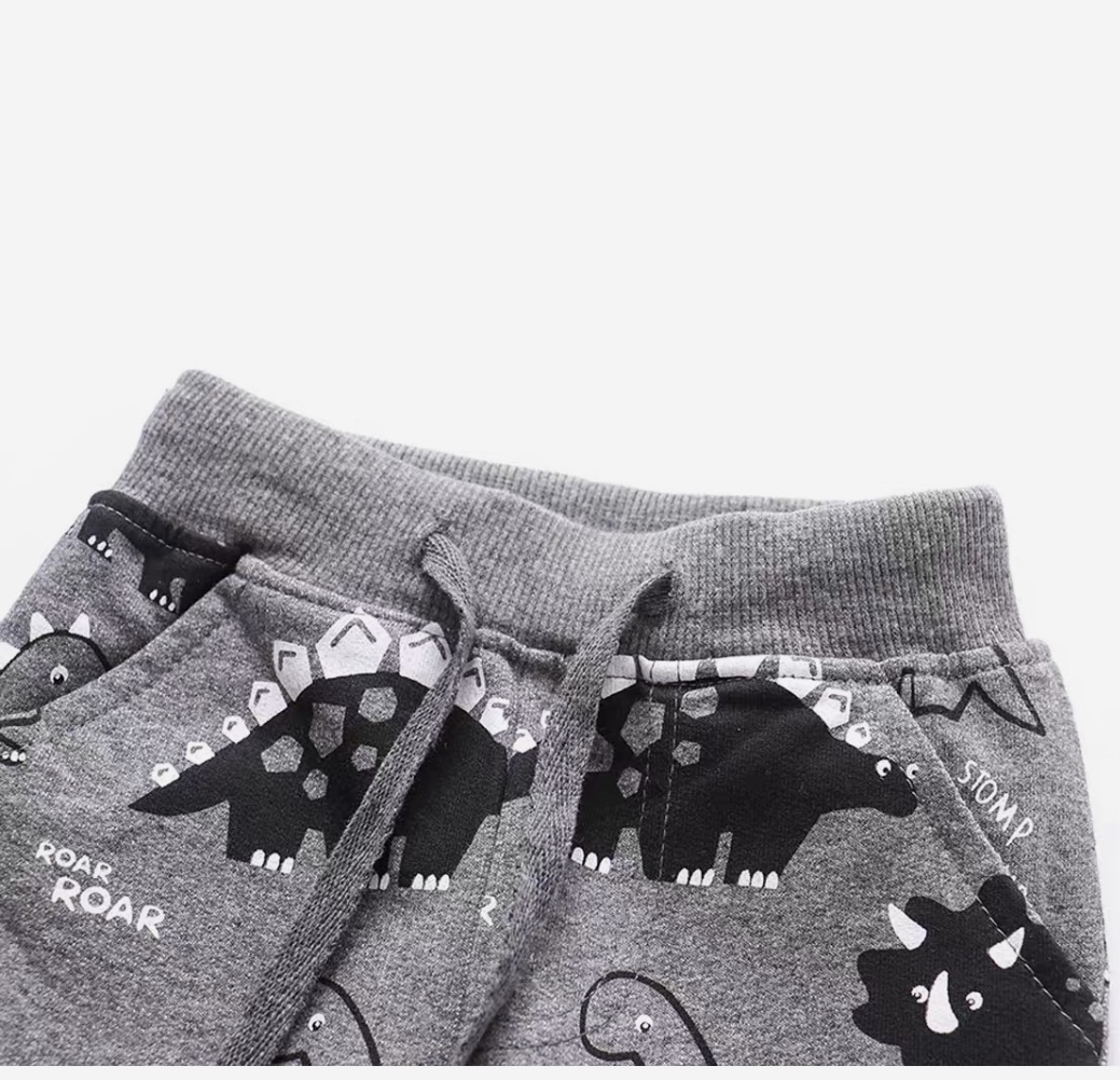 Pants with dinosaurs